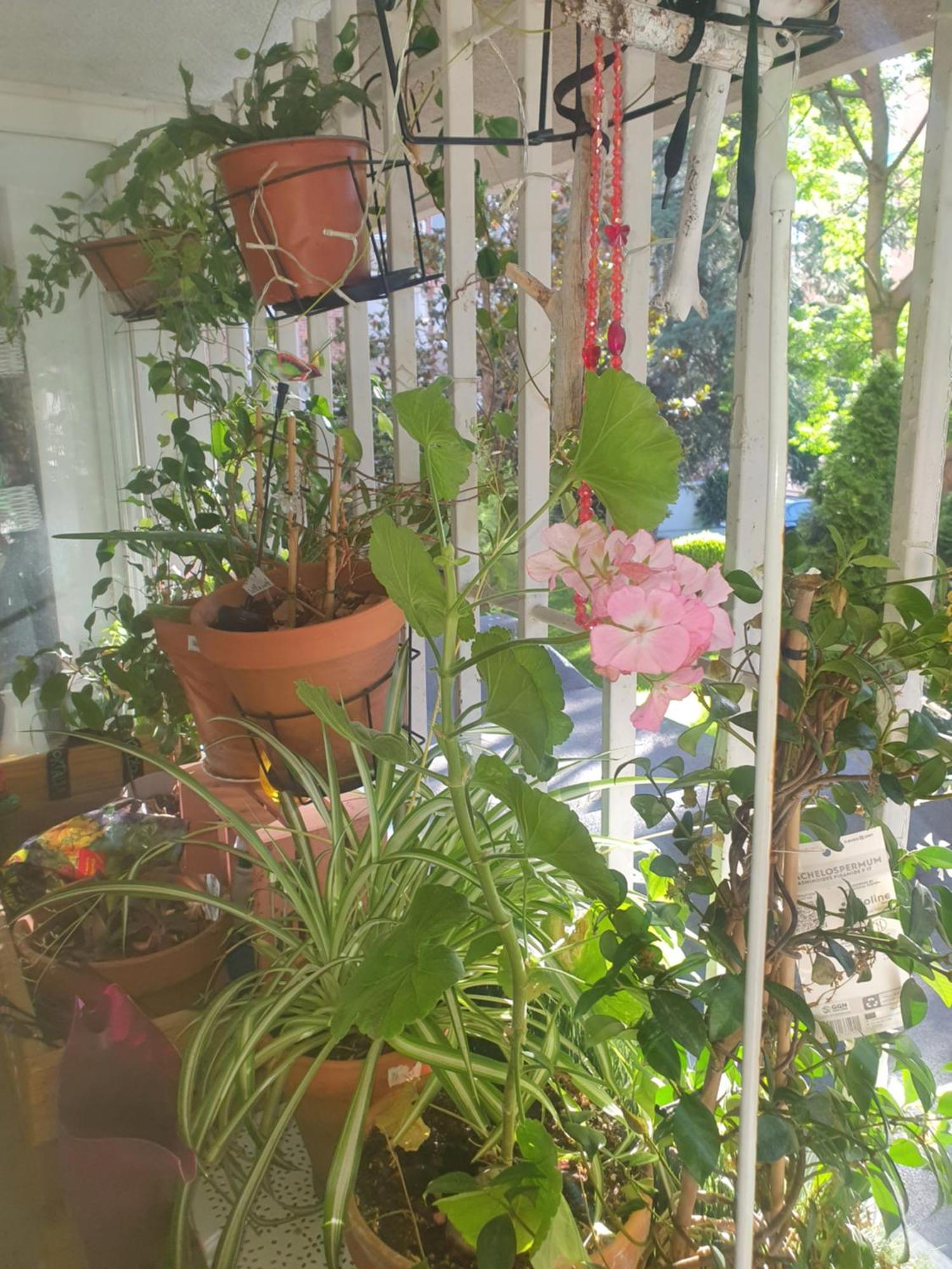 マドリードLibros Y Plantas A 5 Minutos Del Centro En Busアパートメント エクステリア 写真
